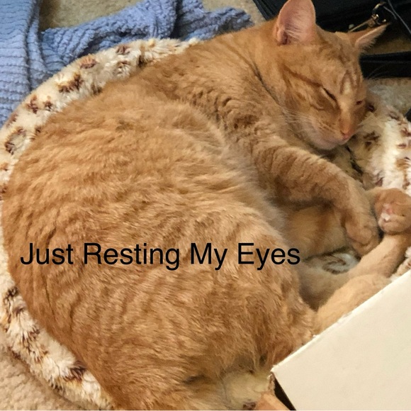 Jute Fiber Market Tote Bag Atlanta GA Shopping Bag Overnight Weekend Carry All - Picture 8 of 8